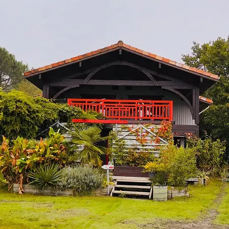 Maison Bois Cap-ferret Pensjonat